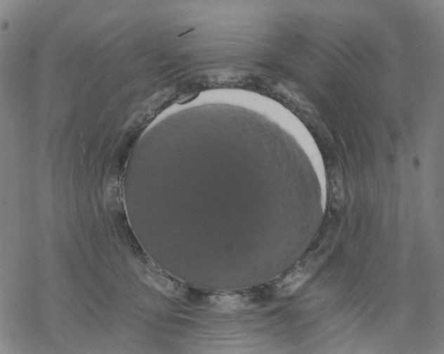 X0000068280419200605191858