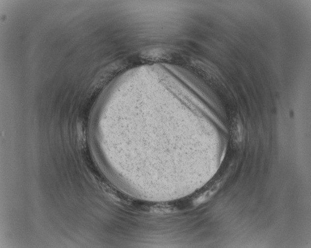 X0000068280420200605191858