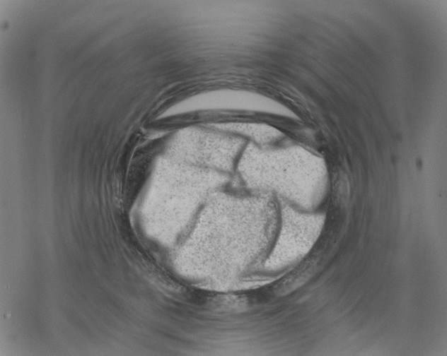 X0000068280421200605191858