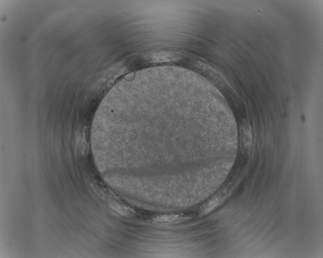 X0000068280422200605191858