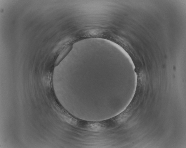 X0000068280423200605191858