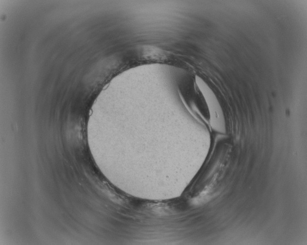 X0000068280424200605191858