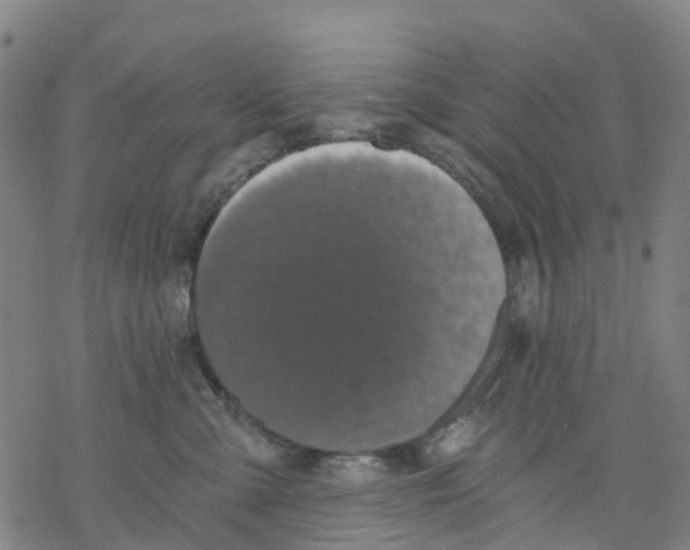 X0000068280427200605191858