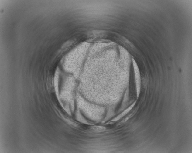 X0000068280429200605191858