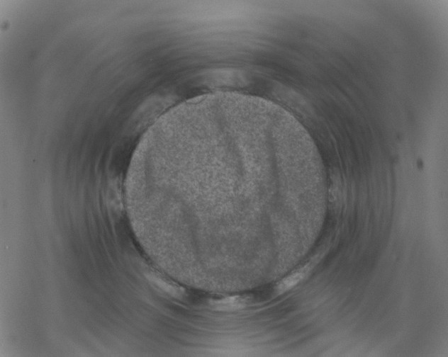 X0000068280430200605191858