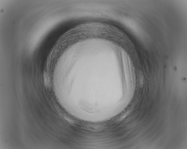 X0000068280431200605191858