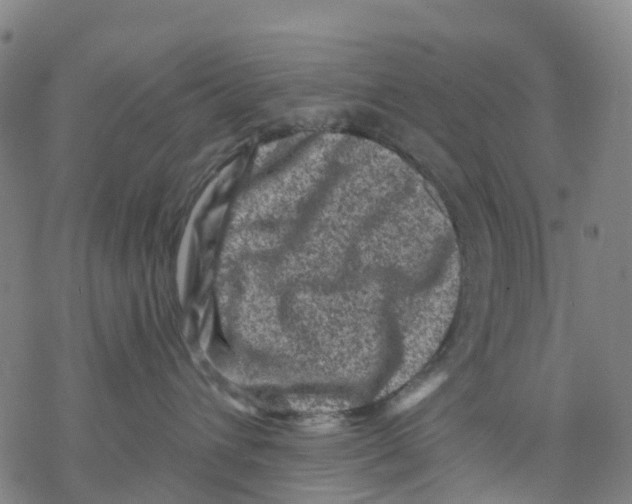 X0000068280432200605191858