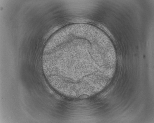 X0000068280433200605191857