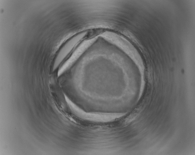 X0000068280434200605191857