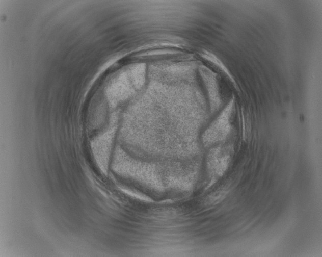 X0000068280435200605191857