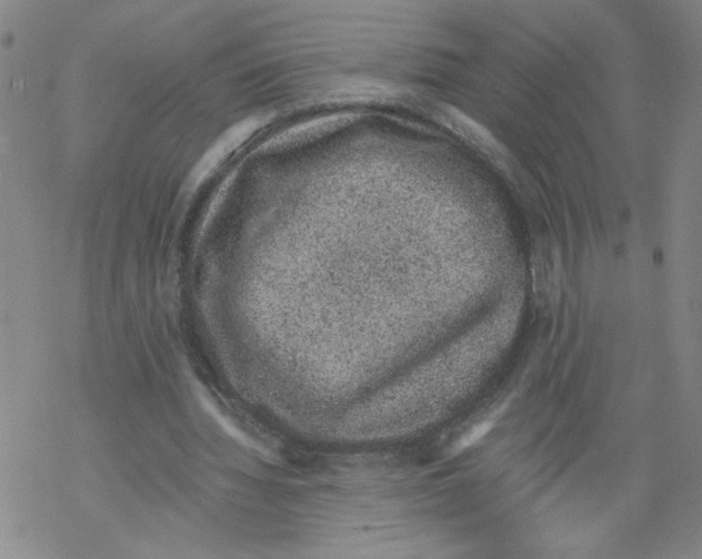 X0000068280436200605191857