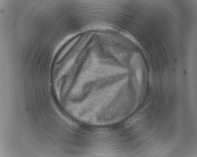 X0000068280438200605191857