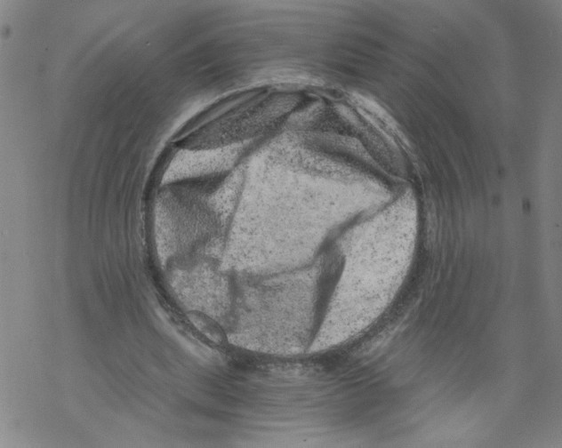 X0000068280439200605191857