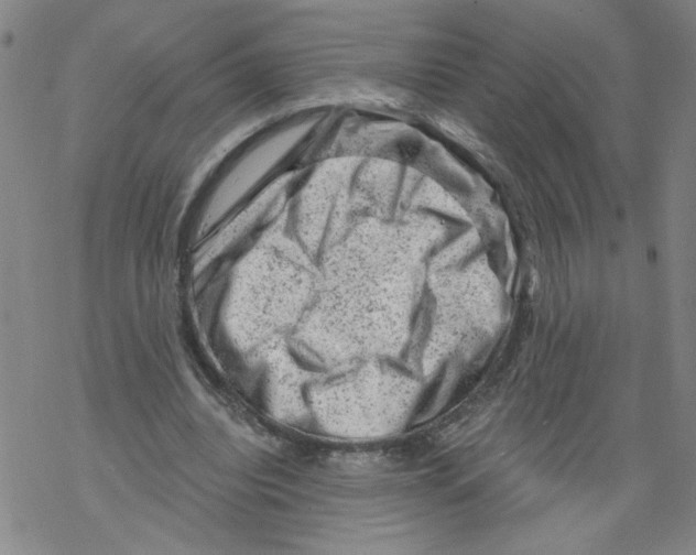 X0000068280440200605191857