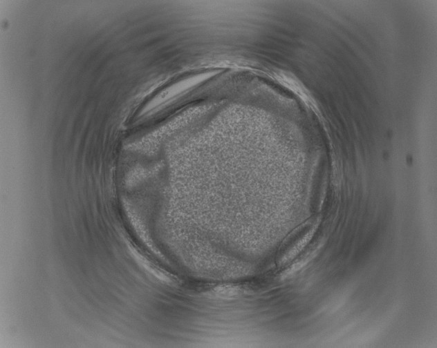 X0000068280441200605191857