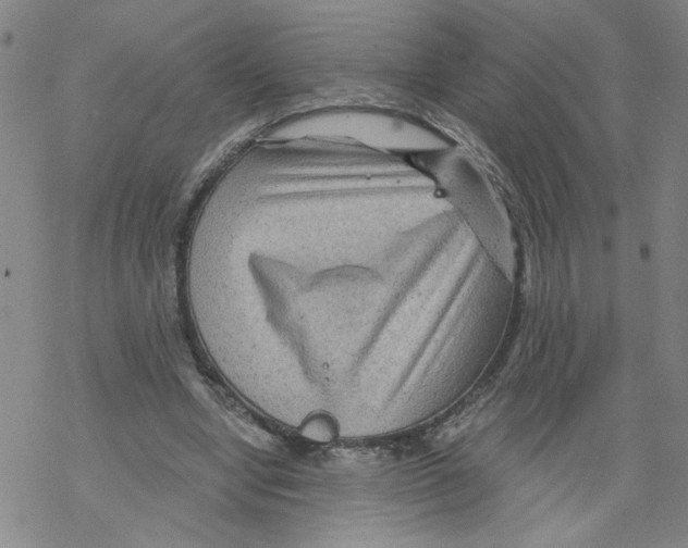 X0000068280442200605191857