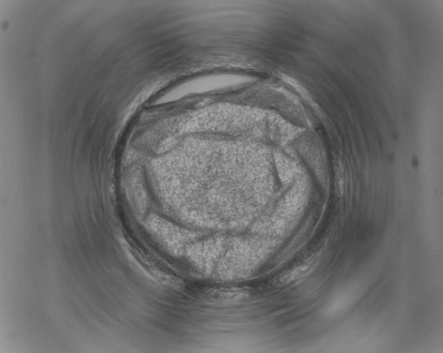 X0000068280443200605191857