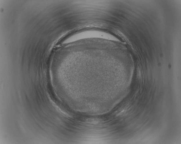 X0000068280444200605191857