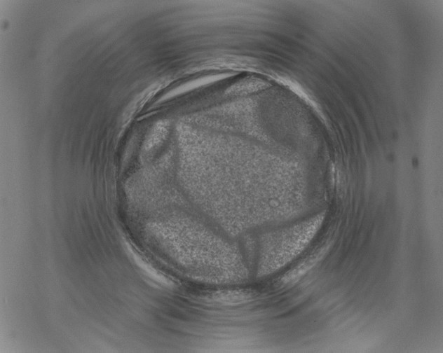 X0000068280445200605191857