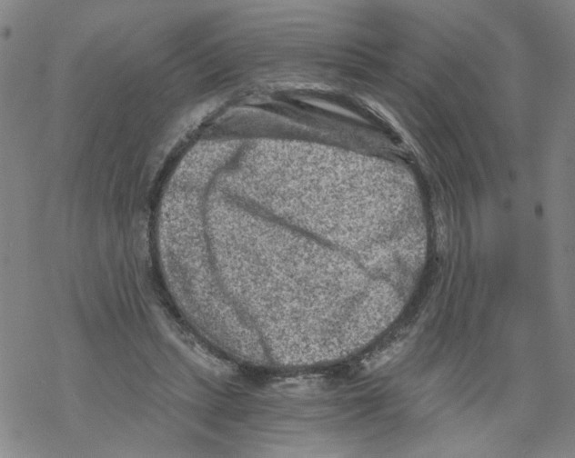 X0000068280447200605191857