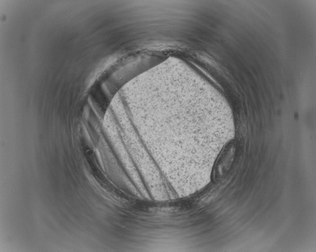 X0000068280448200605191857