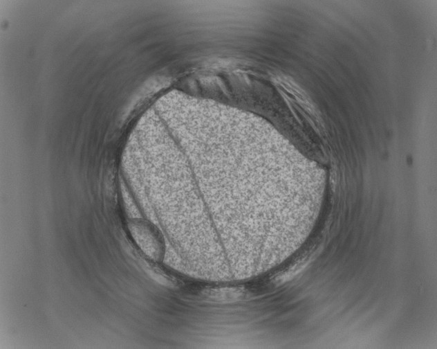 X0000068280449200605191857