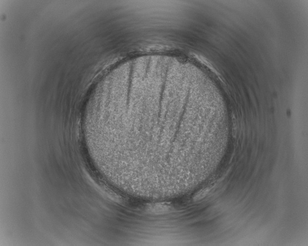 X0000068280451200605191857