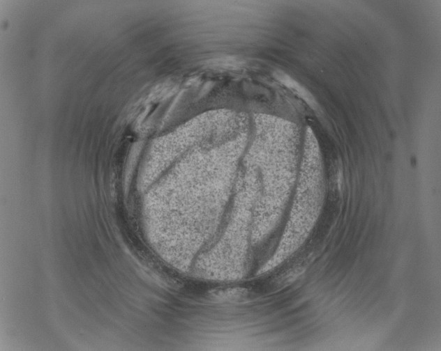 X0000068280452200605191857