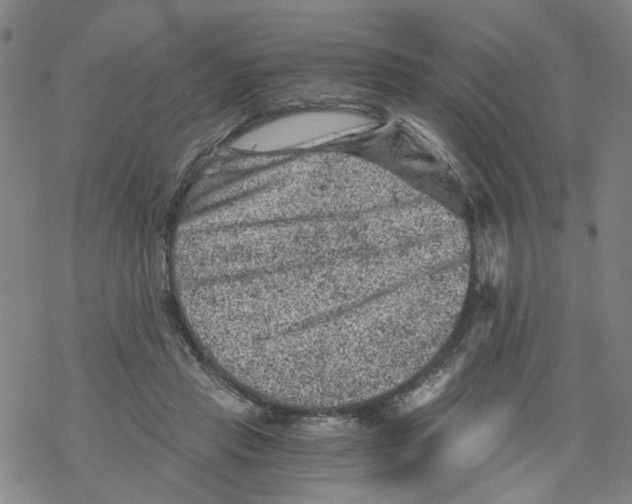 X0000068280453200605191857