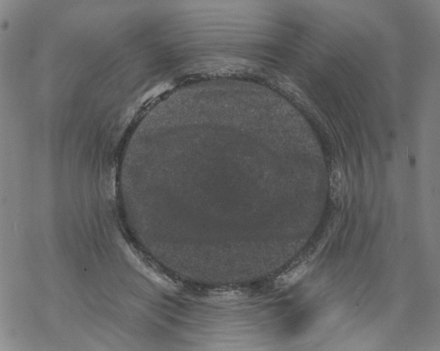 X0000068280454200605191857