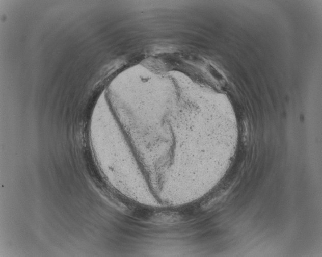 X0000068280455200605191857