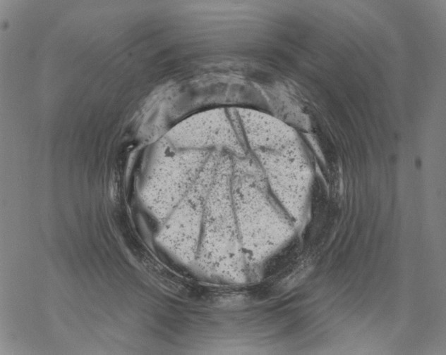 X0000068280456200605191857