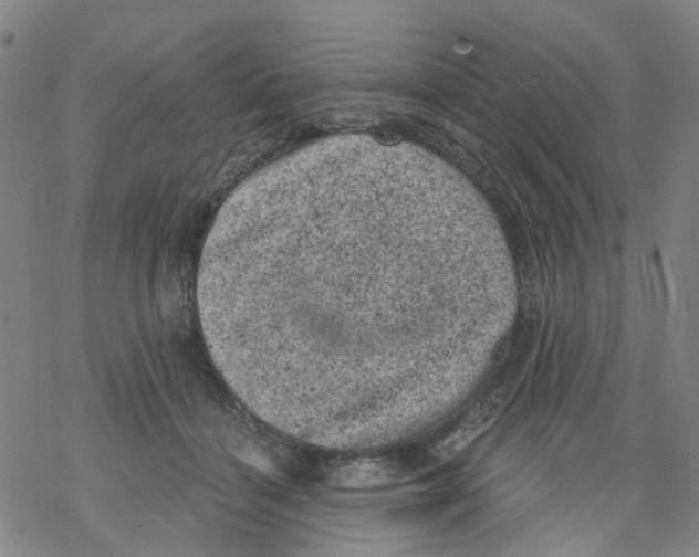 X0000068280460200605191857