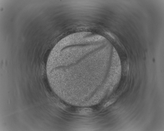 X0000068280463200605191857