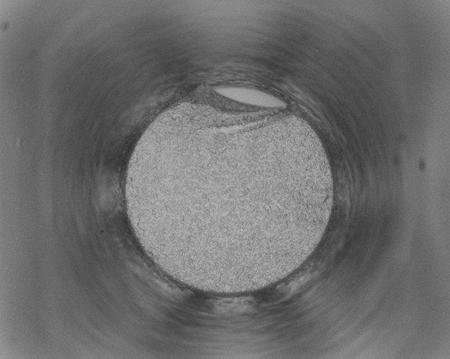 X0000068280465200605191858