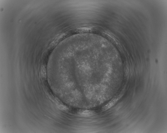 X0000068280467200605191858