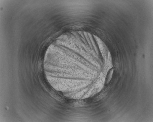 X0000068280468200605191858