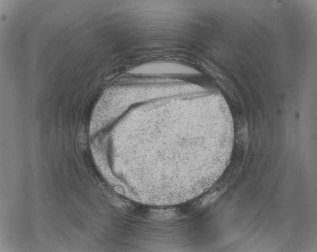 X0000068280469200605191858