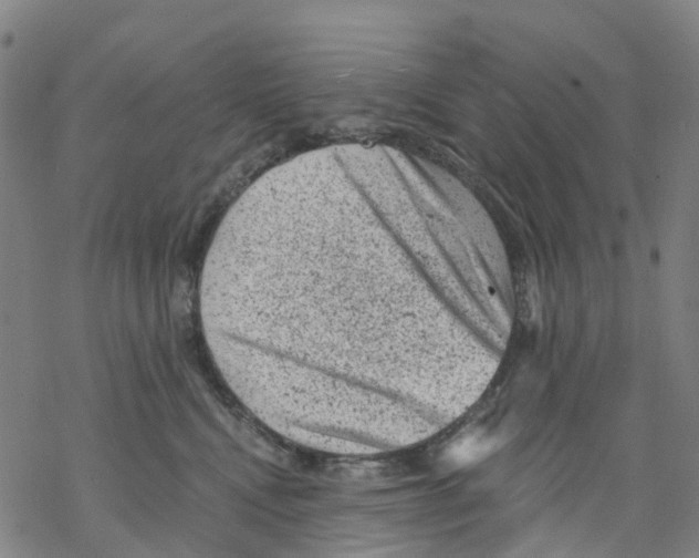 X0000068280472200605191858