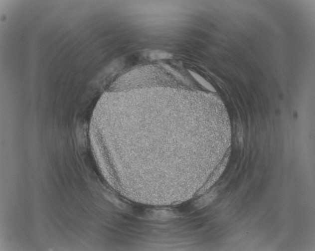 X0000068280475200605191858