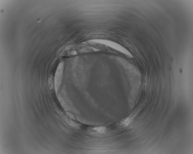 X0000068280478200605191858