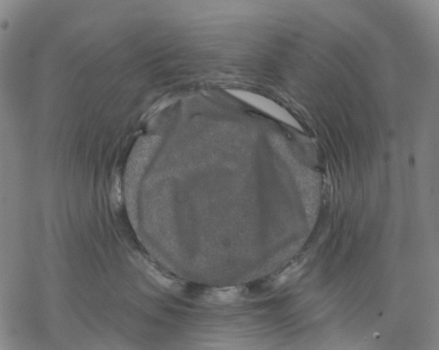 X0000068280479200605191858