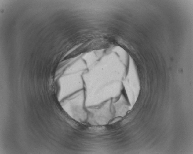 X0000068280480200605191858