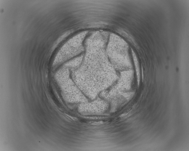 X0000068280483200605191857