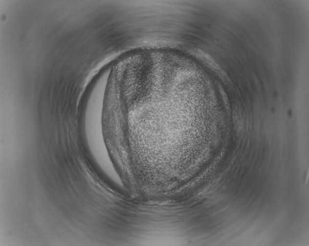 X0000068280488200605191857