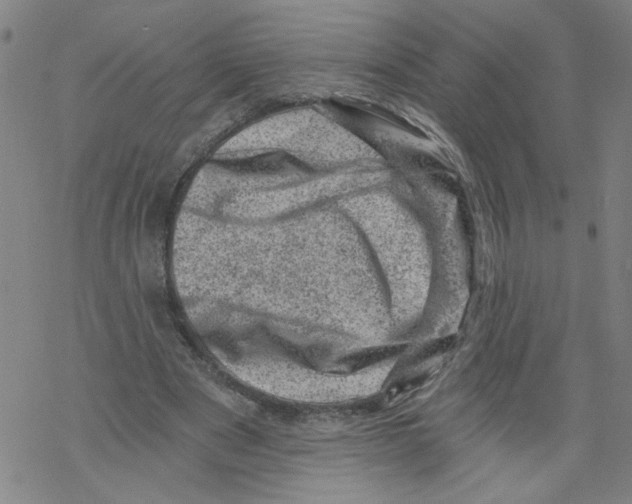 X0000068280489200605191857