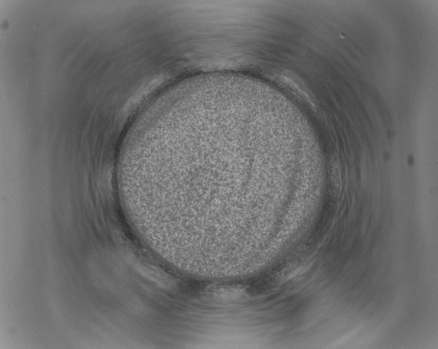 X0000068280491200605191857