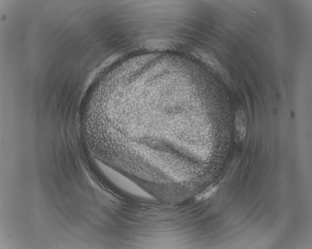 X0000068280492200605191857