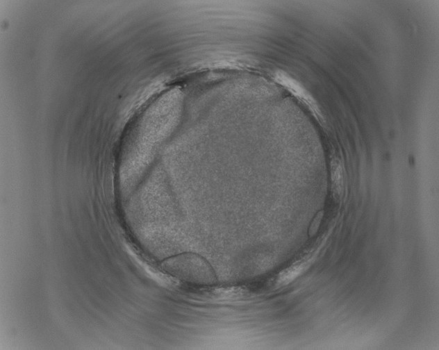 X0000068280493200605191857