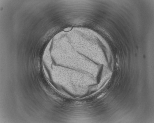 X0000068280494200605191857